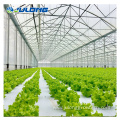 smart farm price greenhouse for tomato